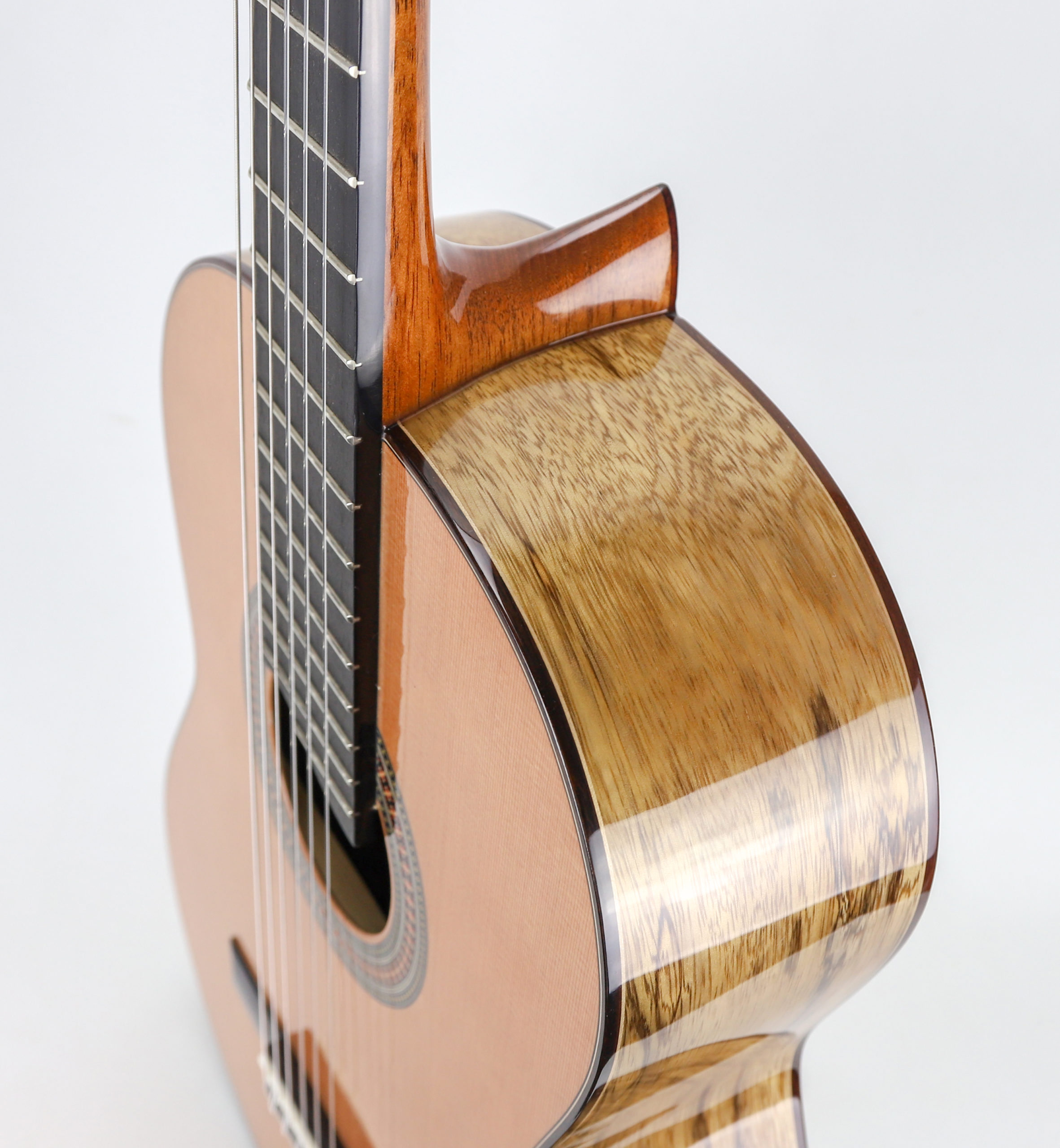Raimundo tatyana shop ryzhkova classical guitar