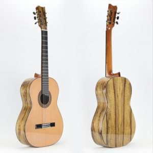 Tatyana Ryzhkova Special Edition Black Limba Cedar Top Hard Case Bundle Tatyana Ryzhkova